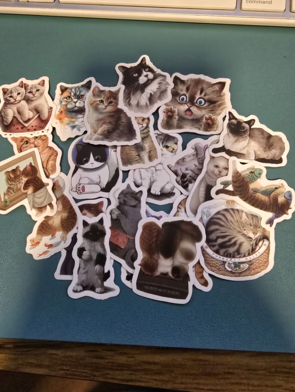 Funny Cats 30 PC Sticker  Sets